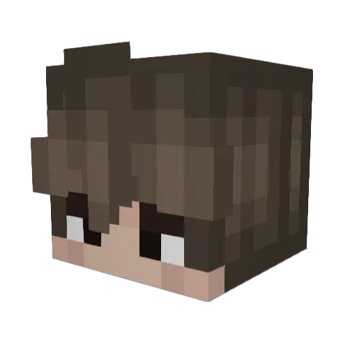 FROGGYBOY_3 Minecraft avatar head, 3D render