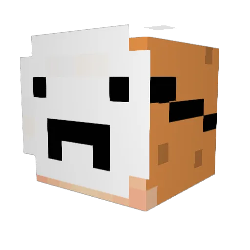 FROSTT___ Minecraft avatar head, 3D render