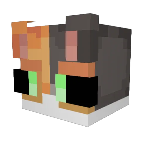 FRUi23 Minecraft avatar head, 3D render