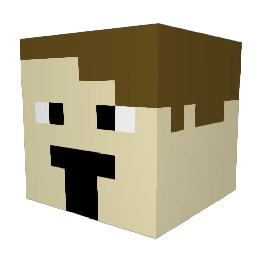 FRYGUY2728 Minecraft avatar head, 3D render