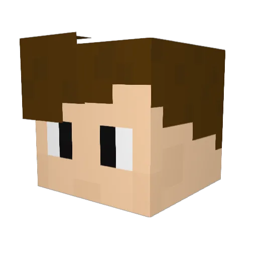 FRYMAYER Minecraft avatar head, 3D render