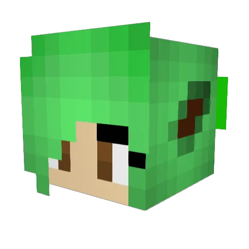 FRZCheetah Minecraft avatar head, 3D render