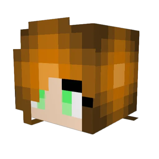 FR_Chuck_Maurice Minecraft avatar head, 3D render