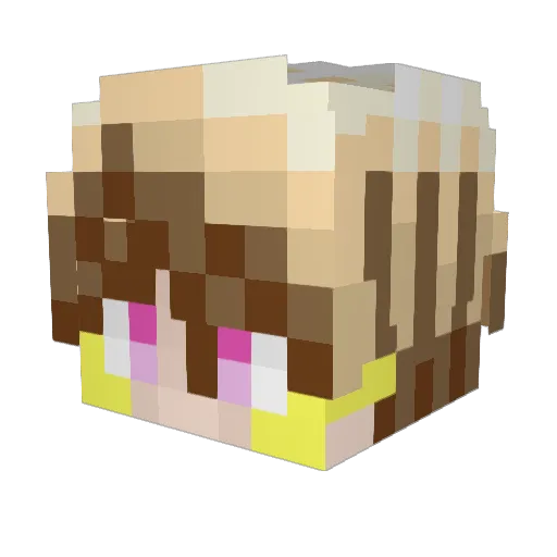 FRafel Minecraft avatar head, 3D render