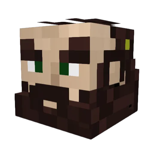FS7_ Minecraft avatar head, 3D render