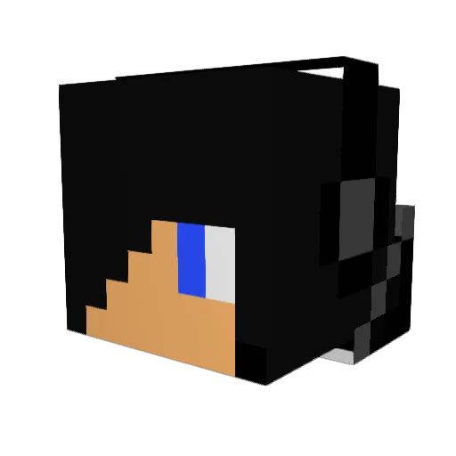 FSD8 Minecraft avatar head, 3D render