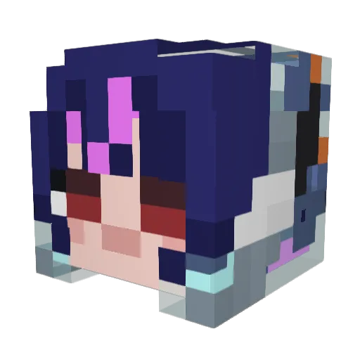 FSET Minecraft avatar head, 3D render