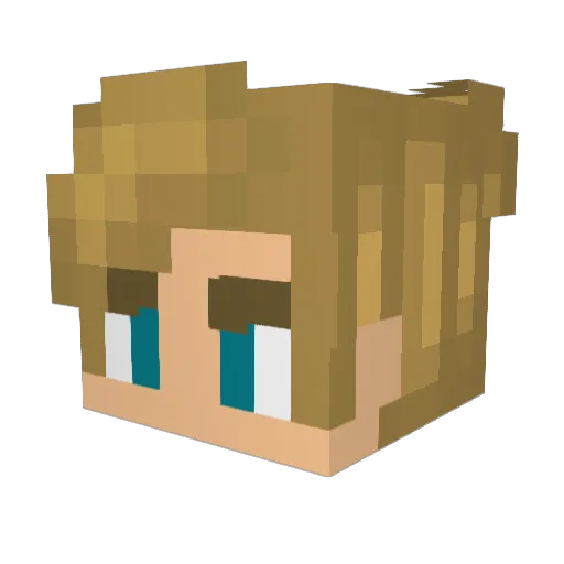 FSMG Minecraft avatar head, 3D render