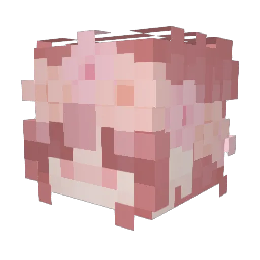 FSNaga Minecraft avatar head, 3D render