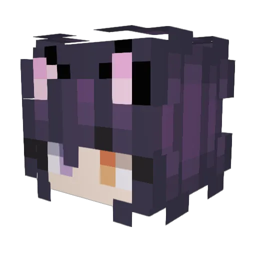 FSTKittyKat Minecraft avatar head, 3D render