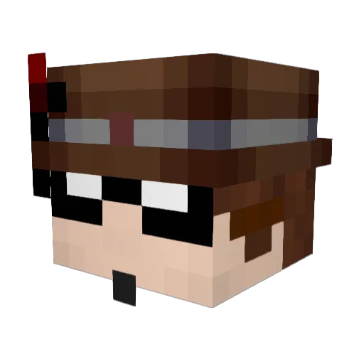 FSVFAN Minecraft avatar head, 3D render