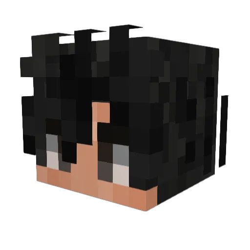 FSWizard Minecraft avatar head, 3D render