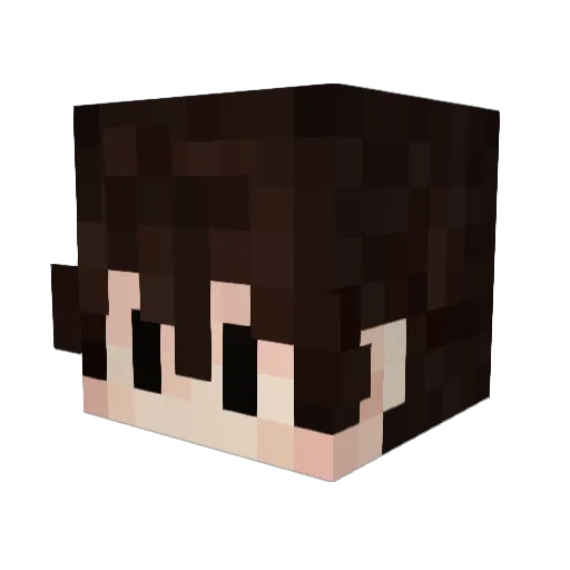 FSYShu Minecraft avatar head, 3D render