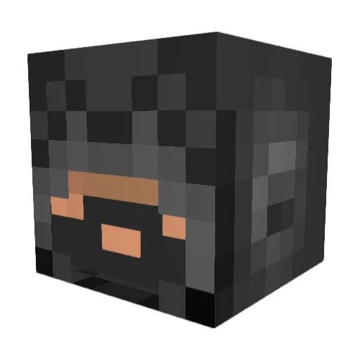 FSebaFer Minecraft avatar head, 3D render