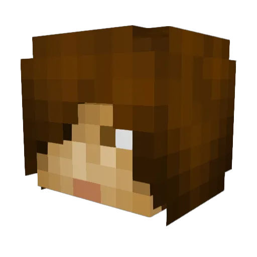 FTCStandUp Minecraft avatar head, 3D render