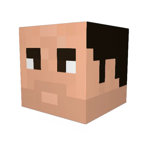 FTYachillE Minecraft avatar head, 3D render