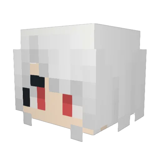 FT_X Minecraft avatar head, 3D render