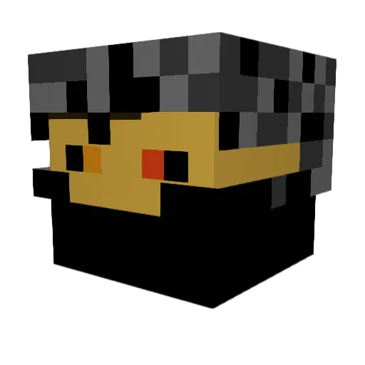 FTpro13 Minecraft avatar head, 3D render