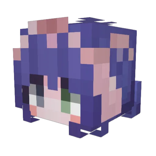 FTshui9 Minecraft avatar head, 3D render