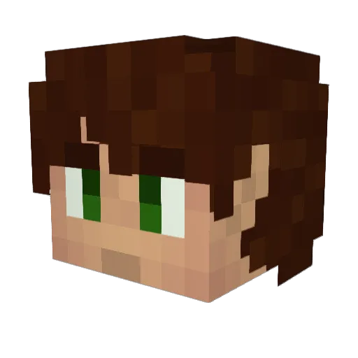 FUBAR39 Minecraft avatar head, 3D render