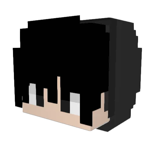 FULLBADGER29029 Minecraft avatar head, 3D render