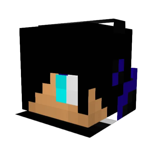 FUNBRO22 Minecraft avatar head, 3D render