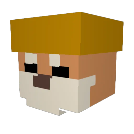 FUNFOX6194 Minecraft avatar head, 3D render