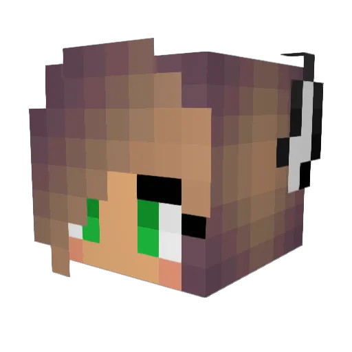 FUNG011 Minecraft avatar head, 3D render