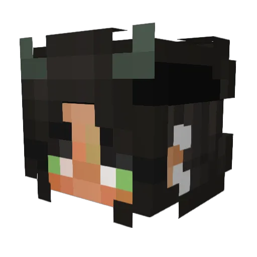 FUNNF0X Minecraft avatar head, 3D render