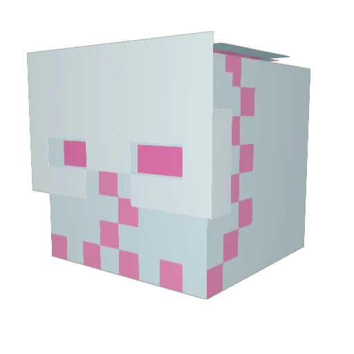 FUNNYD4C2 Minecraft avatar head, 3D render