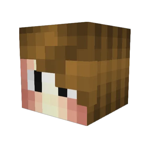 FUNNY_SPAGHETTI Minecraft avatar head, 3D render