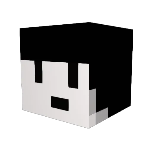 FUN_PPY Minecraft avatar head, 3D render