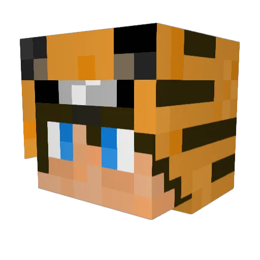 FUNwithPUNK Minecraft avatar head, 3D render
