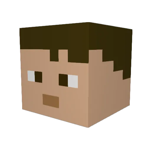 FURTOCONSCASSO Minecraft avatar head, 3D render