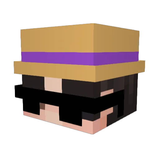 FURY_1 Minecraft avatar head, 3D render
