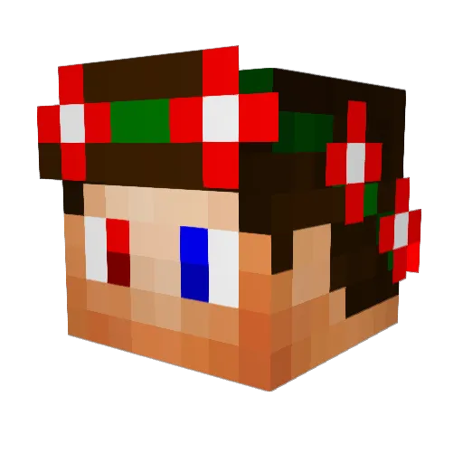 FUZZYpro Minecraft avatar head, 3D render