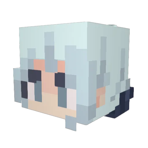 FWBM Minecraft avatar head, 3D render