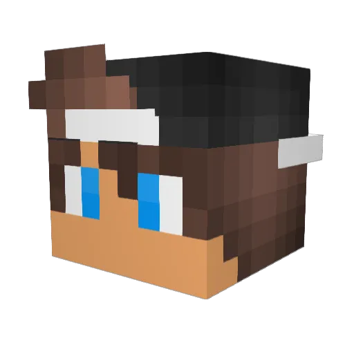 FWD_Magnus Minecraft avatar head, 3D render