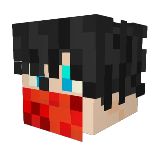 FWFXBF Minecraft avatar head, 3D render