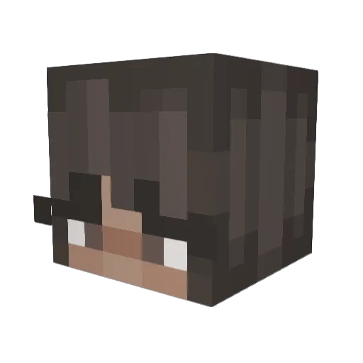 FWTaylorM Minecraft avatar head, 3D render