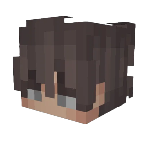FWnocturna9 Minecraft avatar head, 3D render