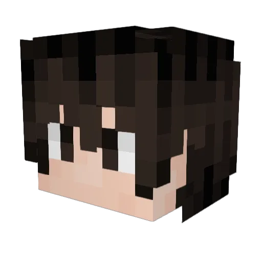 FXFX233 Minecraft avatar head, 3D render
