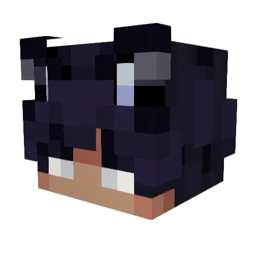 FXXTRN Minecraft avatar head, 3D render