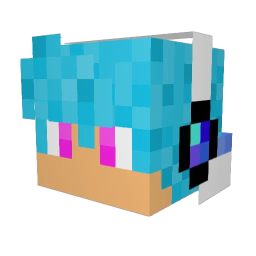 FXXX3337 Minecraft avatar head, 3D render