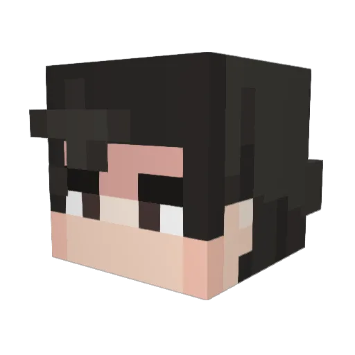 FX_hg Minecraft avatar head, 3D render