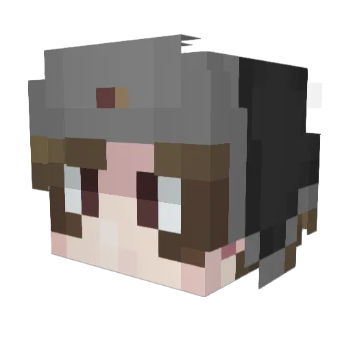 FXeavh Minecraft avatar head, 3D render