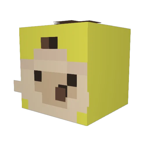 FYT3R Minecraft avatar head, 3D render