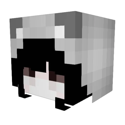 FYhig Minecraft avatar head, 3D render