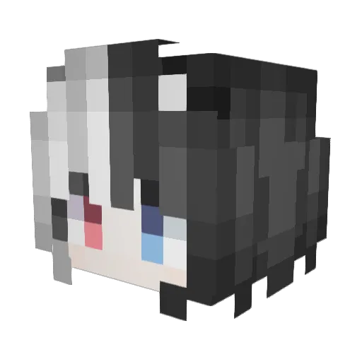 FZK666 Minecraft avatar head, 3D render