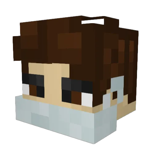 FZYYY_ Minecraft avatar head, 3D render